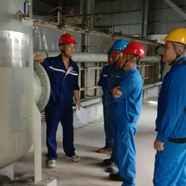 Grupo Toncin: Más de 30 años de excelencia: apostando por la calidad y llegando lejos con responsabilidad