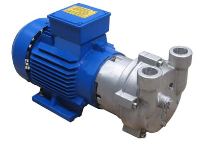Mantenimiento Simple Proveedor de China Bomba de vacío de anillo de agua